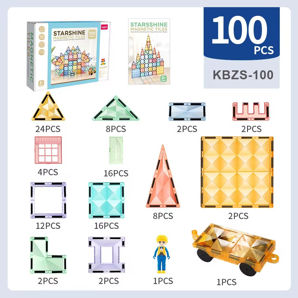 Magnetic puzzle (100 pieces)