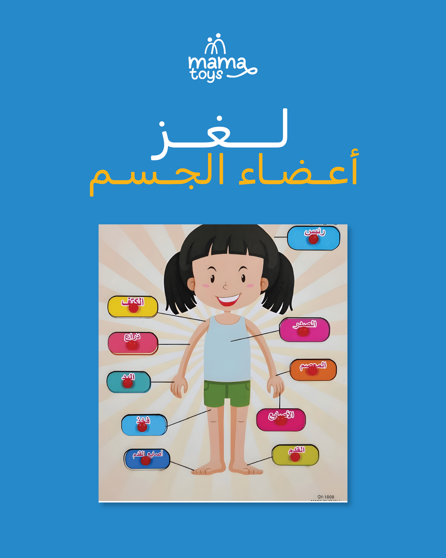 لغز أعضاء الجسم